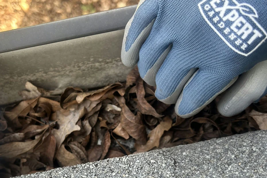 Gutter Cleaning Colonial Village