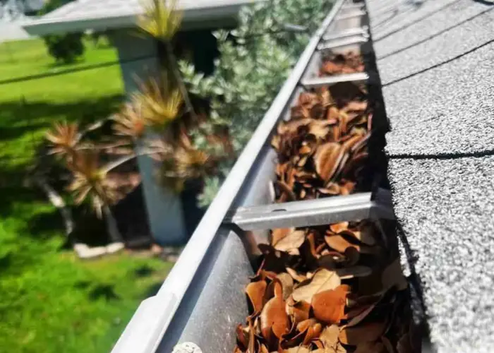 Gutter Cleaning Colonial Village home page